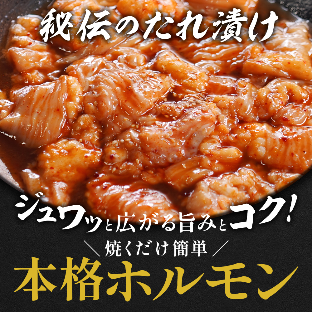 【訳あり】 極上 霜降り 上トロホルモン 500g 秘伝のタレ付き 簡易包装 | 訳あり 訳アリ 国産 上トロホルモン 霜降り ホルモン 冷凍 真空パック 家庭用 ホルモンうどん　八島丹山 京都 舞鶴