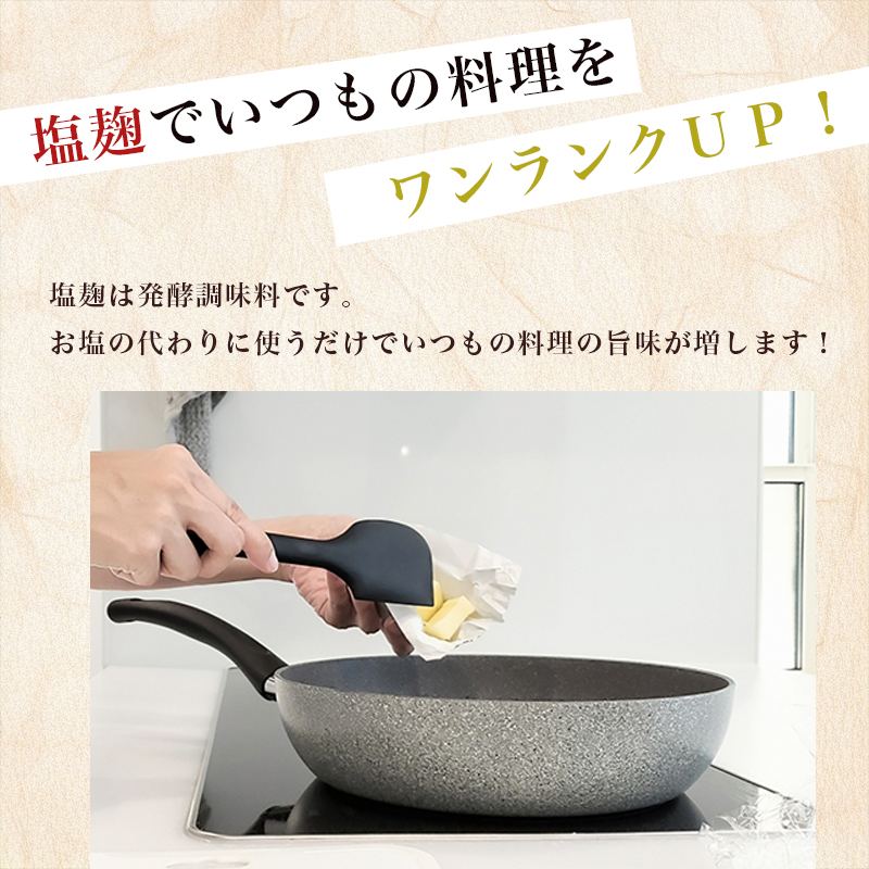 塩麹 250g×3袋 750g ： 塩こうじ 塩糀 こうじ 糀 麹 万能調味料 調味料 発酵 食品添加物 無添加 冷蔵 京都府 舞鶴市 国産 大阪屋こうじ店 京 老舗 京都 舞鶴