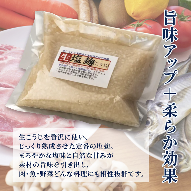 【国産生麹使用】 発酵調味料 4点セット 塩麹・麦塩麹・醤油麹・玉ねぎ塩麹 各200〜250g | 塩麹 麦塩麹 醤油麹 玉ねぎ塩麹 発酵調味料 こうじ 麹 国産 料理下味 漬け込み 炒め物 ギフト  大阪屋こうじ店 国産麹 舞鶴