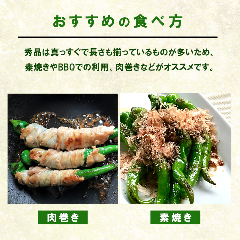 【5月中旬～11月下旬発送】 万願寺 とうがらし 秀品 1kg 辛くない 美味しい おいしい 肉厚 甘い 旬 採れたて 箱入り 伝統野菜 バーベキュー BBQ 野菜 夏野菜 農家 産地 直送 揚げ物 炒め物 煮物 万願寺とうがらし 唐辛子 京都 舞鶴 | まんがんじ 万願寺とうがらし 万願寺唐辛子 唐辛子 ご当地野菜 地場産品 地場野菜 野菜 発祥 とうがらし 京都 京野菜 期間限定 夏野菜 秋 夏 野菜 やさい 箱入り