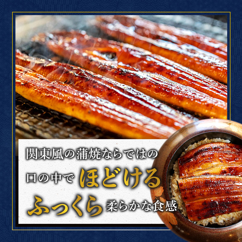 浜名湖産 うなぎ蒲焼き 特製タレ付き 2尾 | うなぎ 蒲焼き 国産 浜名湖産 ギフト プレゼント 贈答用 冷凍 土用の丑の日 うな丼 特製タレ 職人手焼き 関東風 うなぎの蒲焼 鰻京都 舞鶴