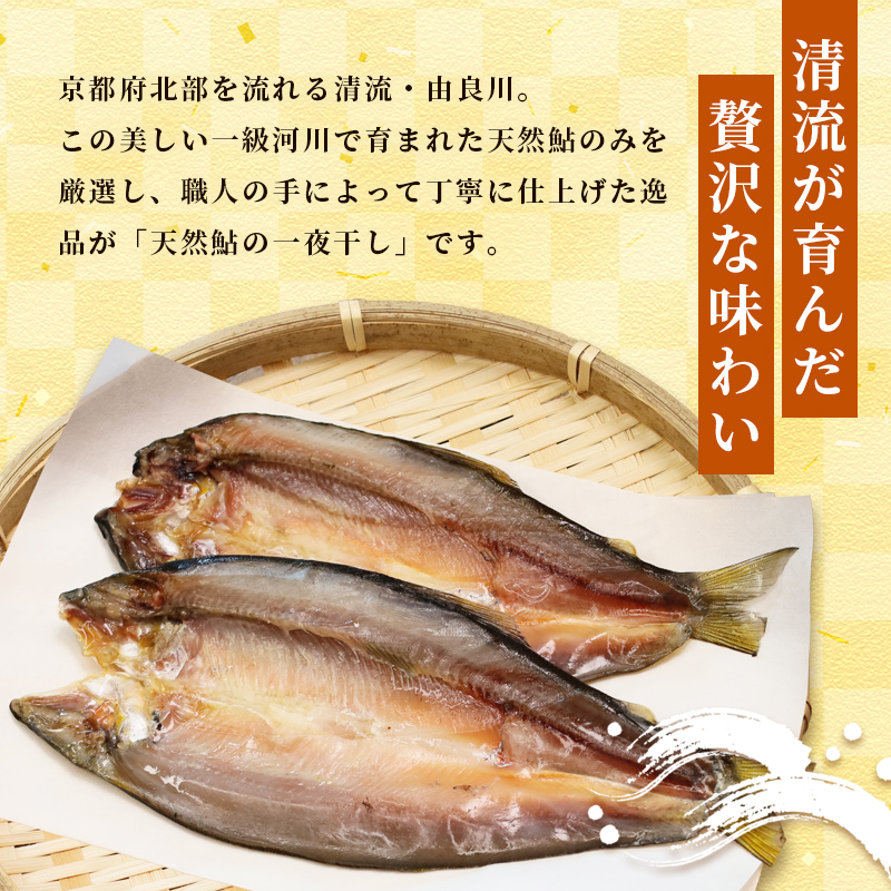 天然鮎 一夜干し 3パック（9匹） 【 由良川漁協 あゆ 鮎 アユ 魚 魚介 川魚 海鮮 一夜干し 鮎の一夜干し 干物 天然 熟成 舞鶴 京都 】