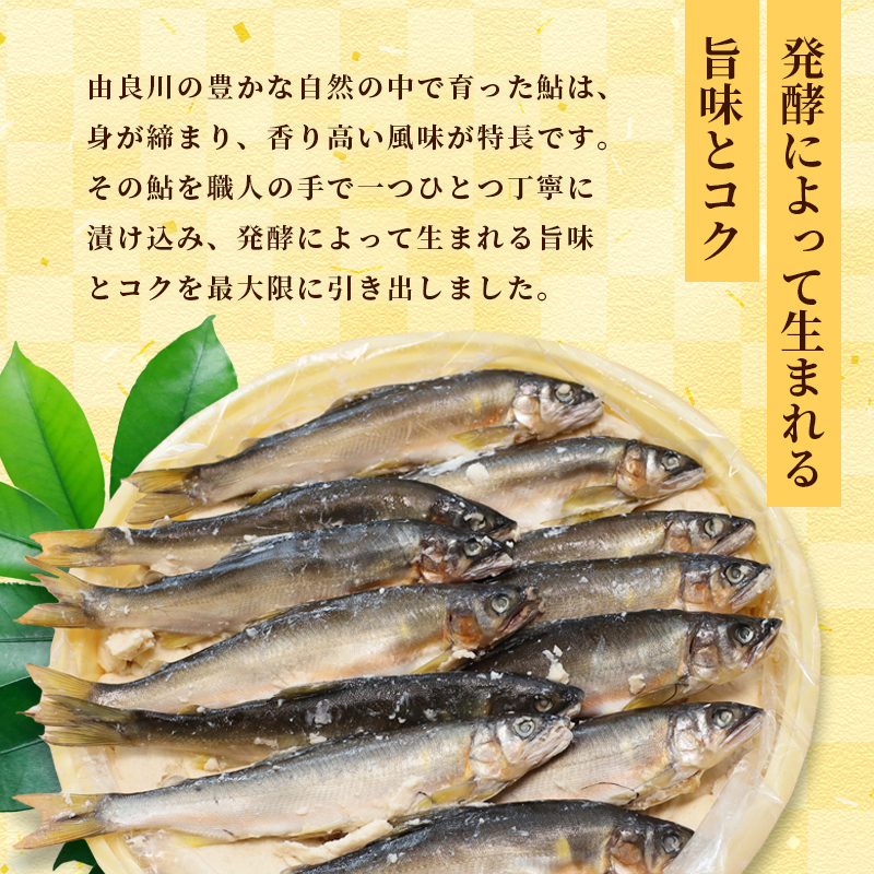 天然鮎の粕漬け 12匹 【 由良川漁協 あゆ 鮎 アユ 魚 魚介 川魚 海鮮 漬け魚 粕漬け 酒粕 天然 大人 贅沢 おつまみ 酒の肴 珍味 舞鶴 京都 】