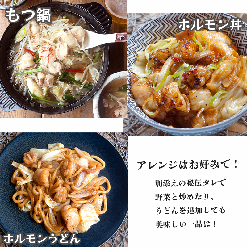 黒毛和牛 ホルモン 600g 旨辛タレ トロホルモン 上ホルモン 国産ホルモン 牛肉 焼き肉 BBQ バーベキュー 味付け肉 熨斗 ギフト プレゼント 贈答 お歳暮 御歳暮 御中元 お中元 夏ギフト お祝い