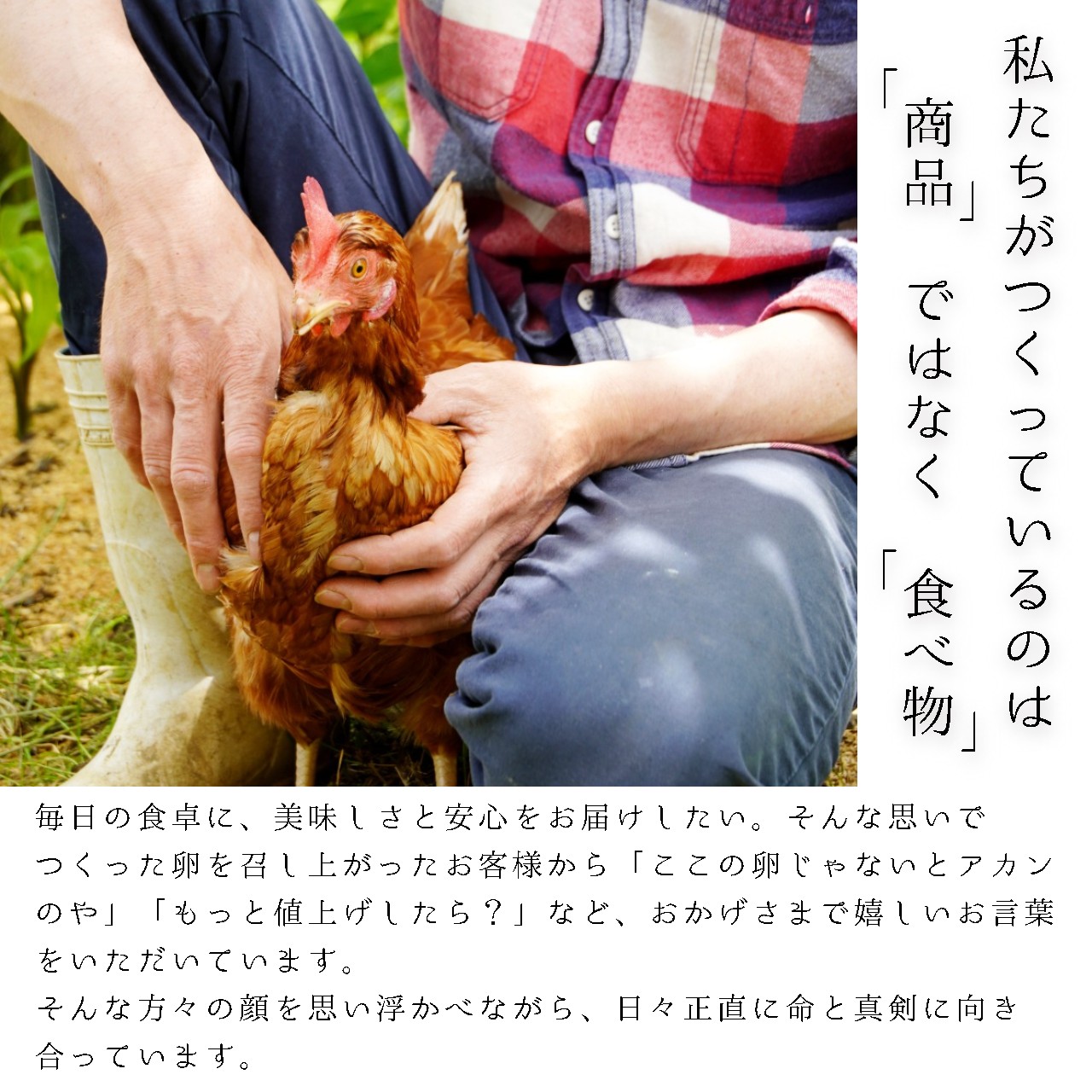 赤岩高原たまご 80～90個入（特選/無選別Ｍ～Ｌ） 4.8kg以上 卵 大人数用 たまご 大入り