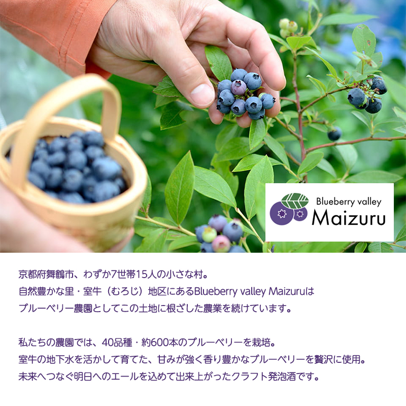 ブルーベリーミライエール 330ml×6本 | ブルーベリー 国産 発泡酒 地ビール クラフトビール フルーツビール 地ビール ブルーベリービール 国産果実 女性向け ギフト 手土産 フルーティー ビール エール 冷蔵 京都府舞鶴市