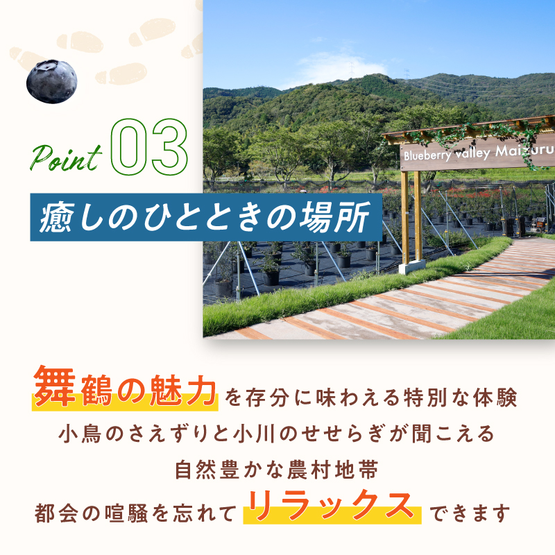 【6月～8月】 ブルーベリー狩り ペアチケット 【時間無制限・食べ放題】 | ブルーベリー 果物 フルーツ狩り 中学生以上 摘み取り 体験 チケット ペア 時間 無制限 食べ 放題 関西 京都 舞鶴