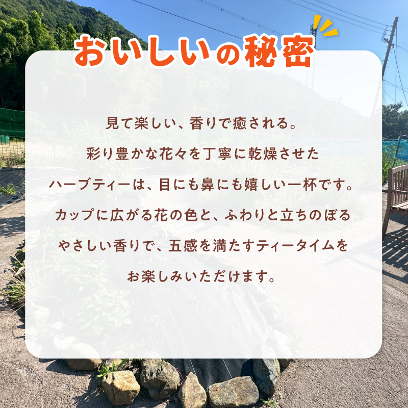 保健師×ハーバルセラピスト監修 ハーブティー 4種類セット | ハーブ園 ハーブ ハーブティ 効果 オリジナルブレンド 茶葉 リーフ お茶 ティー