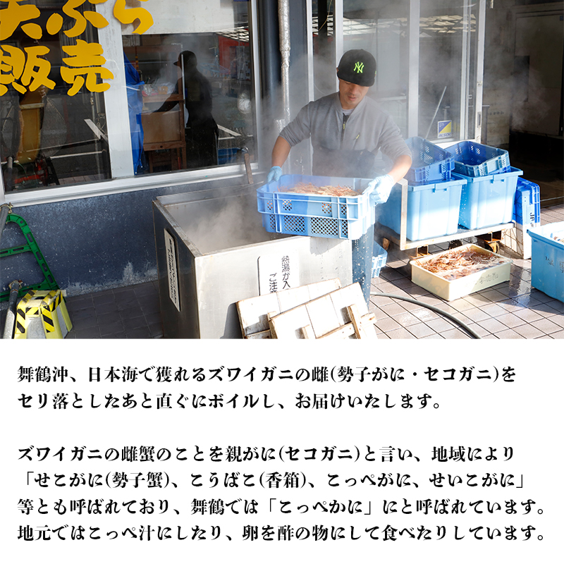 【11月中旬～年内発送】 茹で セコガニ 6杯 800g以上 | 舞鶴 こっぺがに セコガニ 雌ガニ 冬限定 カニ 内子 外子 かに味噌 日本海 冷凍 舞鶴港 海鮮 ボイル蟹 カニ通販 ふるさと納税 ギフト 冬の味覚