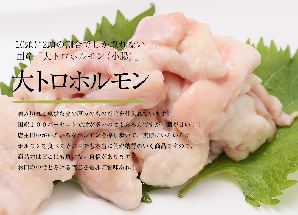 国産牛 大トロホルモン 西京味噌焼き 600g ( 100gパック ) 国産牛 和牛 大トロ 焼肉 牛 西京焼き 味噌 味付 小分け 冷凍 国産 牛 肉 熨斗 贈答 ギフト 希少部位 和牛 肉 お歳暮 御歳暮 御中元 お中元 便利 簡単調理 厳選 内祝 ほるもん おかず 味付けホルモン 肉 西京焼き 京都 舞鶴 幸福亭