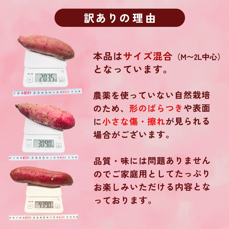 【1月以降発送】 【訳あり】 舞鶴産 熟成さつまいも 2kg （紅はるか） 無選別 M～2L混合 R7年度産 | サツマイモ 完熟 越冬 熟成 焼き芋用 ねっとり 高糖度 無農薬 スイーツ 蜜芋 キュアリング 秋収穫 保存食 京都 舞鶴