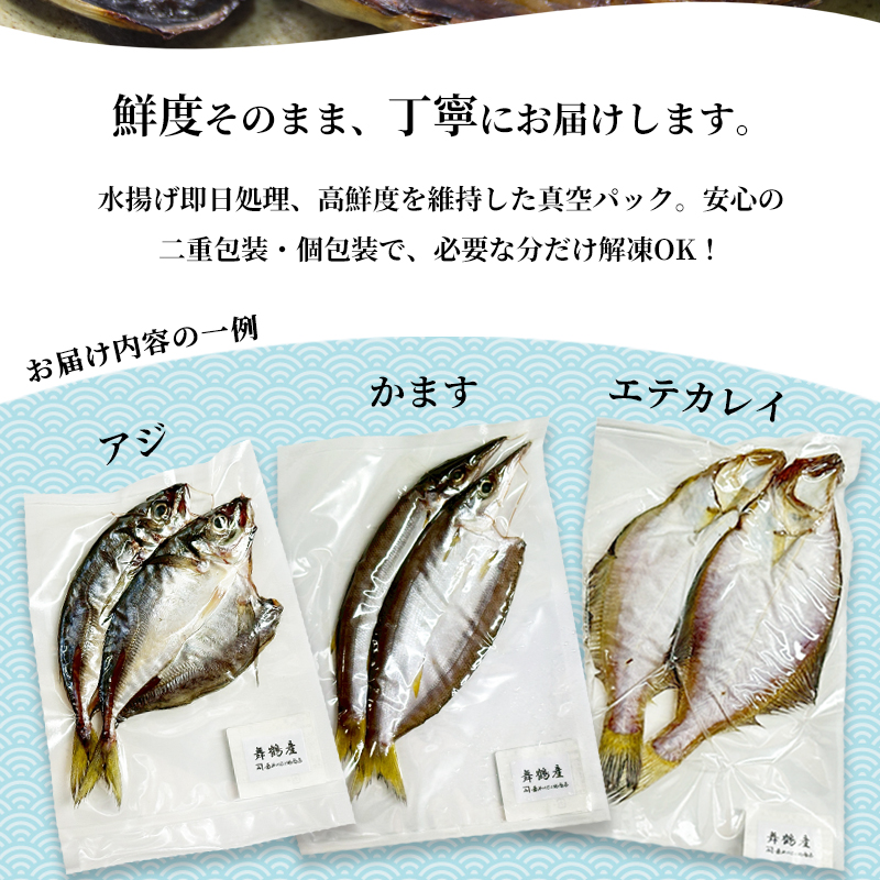 旬の魚 干物セット 贅沢詰合せ 4種～6種 日本海産 | 干物 高鮮度真空パック 冷凍 個包装 ギフト 贈答用 舞鶴 舞鶴市 京都