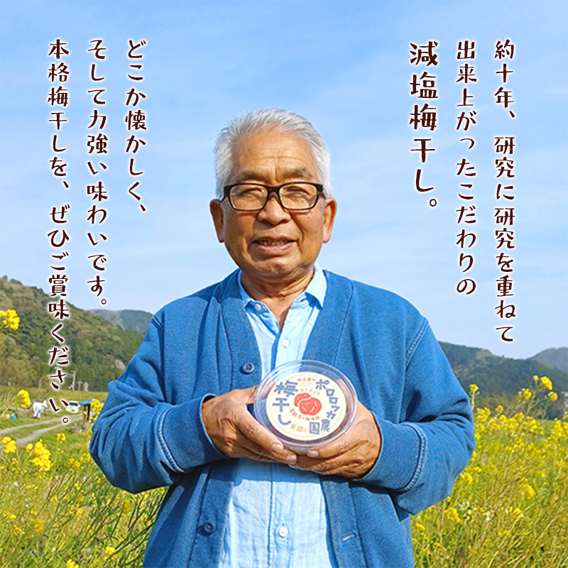 無添加 梅干し 減塩 小分け 1kg 1キロ 舞鶴産 うめぼし お取り寄せ 漬物 南高梅 昔ながら 田舎