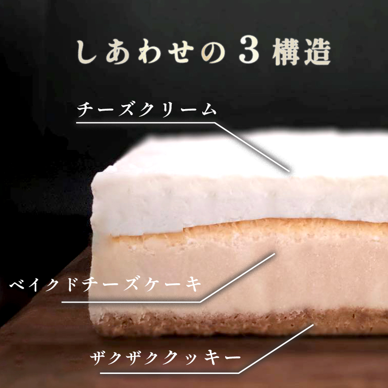 バニラ チーズケーキ 1台 約500g 4～6名 冷凍 バニラチーズケーキ 1個 1本 濃厚 チーズ ケーキ 洋菓子 お菓子 冷凍ケーキ