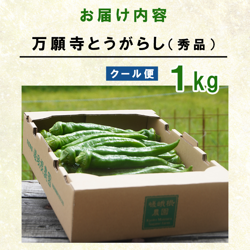 【5月中旬～11月下旬発送】 万願寺 とうがらし 秀品 1kg 辛くない 美味しい おいしい 肉厚 甘い 旬 採れたて 箱入り 伝統野菜 バーベキュー BBQ 野菜 夏野菜 農家 産地 直送 揚げ物 炒め物 煮物 万願寺とうがらし 唐辛子 京都 舞鶴 | まんがんじ 万願寺とうがらし 万願寺唐辛子 唐辛子 ご当地野菜 地場産品 地場野菜 野菜 発祥 とうがらし 京都 京野菜 期間限定 夏野菜 秋 夏 野菜 やさい 箱入り