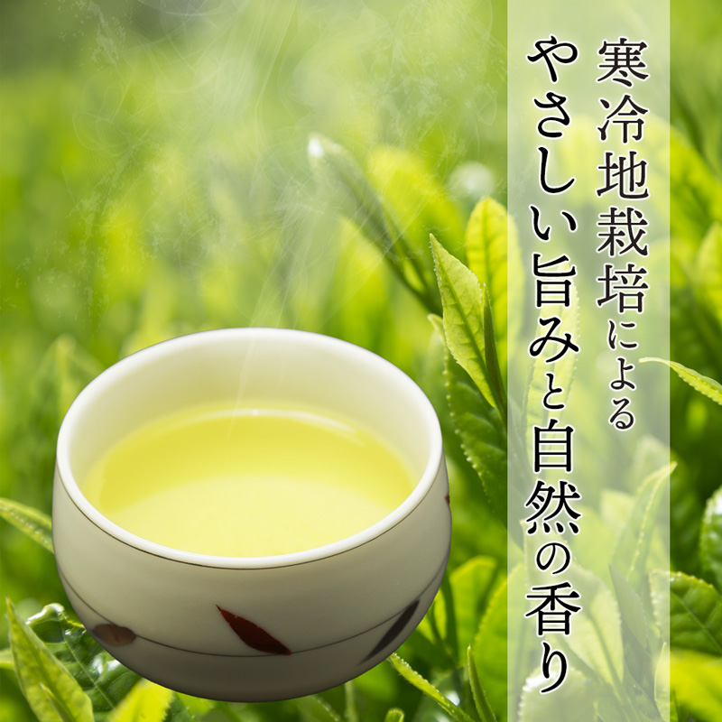 舞鶴茶 青柳（あおやぎ）3袋 900g /300g×3 | 舞鶴茶 舞鶴産青柳 植和田園 番茶 京都 舞鶴 由良川 かぶせ茶 日本茶 国産茶 女性茶農家 茶葉 京都土産 農家直送 産地直送
