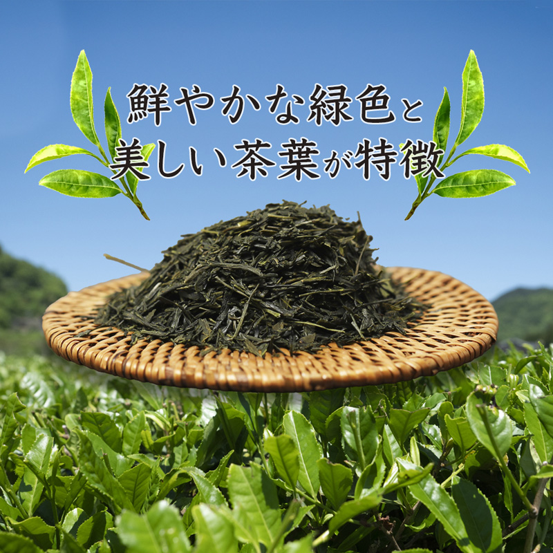 舞鶴茶 上煎茶 1袋 200g | 舞鶴茶 緑茶 日本茶 国産茶 植和田園 上煎茶 京都 舞鶴 由良川 甘み うま味 高級茶 家庭用 ギフト 健康 女性茶農家 茶葉 京都土産 農家直送 産地直送