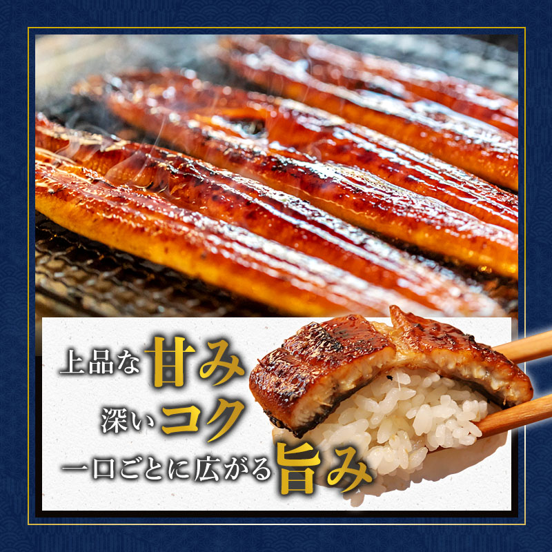 浜名湖産 うなぎ蒲焼き 特製タレ付き 2尾 | うなぎ 蒲焼き 国産 浜名湖産 ギフト プレゼント 贈答用 冷凍 土用の丑の日 うな丼 特製タレ 職人手焼き 関東風 うなぎの蒲焼 鰻京都 舞鶴