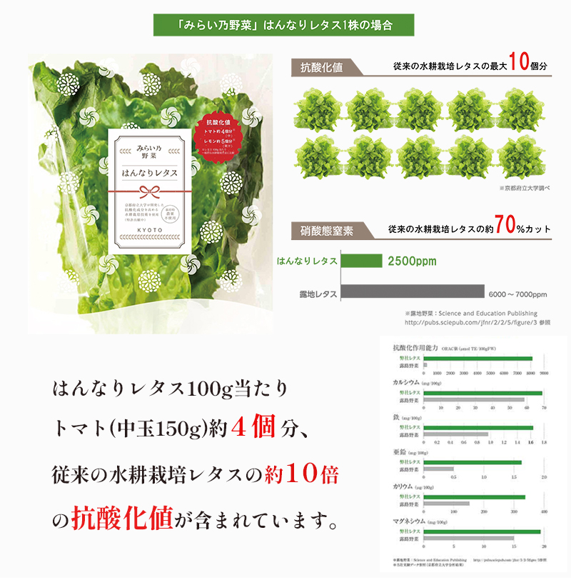みらい乃野菜 はんなりレタス 10袋 + おケールハン 2袋 12袋 720g 野菜 袋入 水耕栽培 野菜 れたす レタス ケール けーる 葉物 サラダ 高抗酸化値 低硝酸態窒素 小分け 小袋 そのまま 食べれる 健康 身体にやさしい お試し 贈答 熨斗 野菜