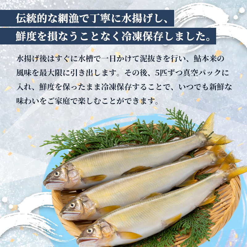 天然鮎 網獲り 冷凍 約1.5kg（約21匹～33匹）【 由良川の網獲り 由良川漁協 冷凍あゆ 冷凍鮎 高鮮度 冷凍 あゆ 鮎 魚 さかな 舞鶴 京都 】