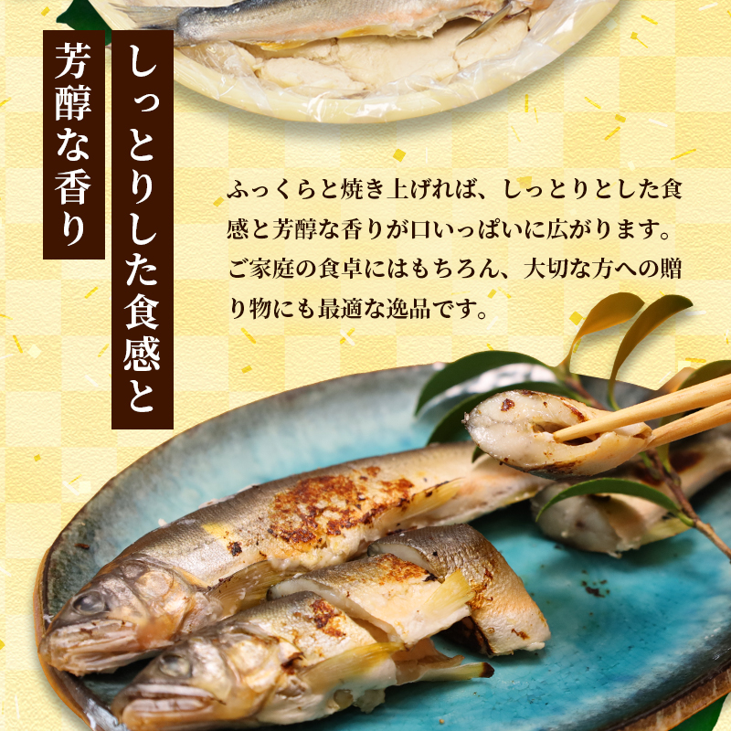 天然鮎の粕漬け 12匹 【 由良川漁協 あゆ 鮎 アユ 魚 魚介 川魚 海鮮 漬け魚 粕漬け 酒粕 天然 大人 贅沢 おつまみ 酒の肴 珍味 舞鶴 京都 】