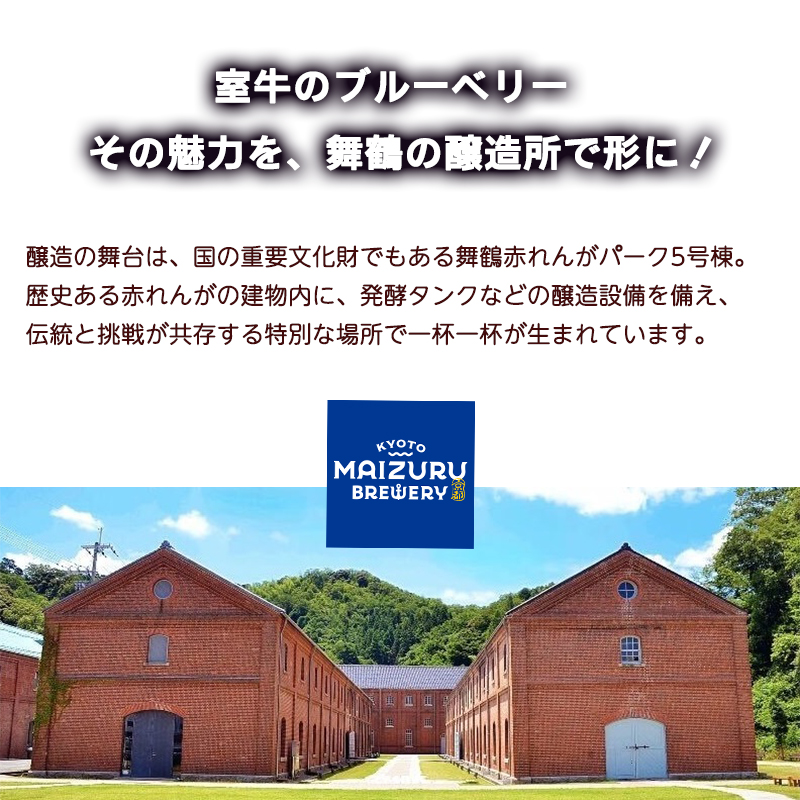 ブルーベリーミライエール 330ml×6本 | ブルーベリー 国産 発泡酒 地ビール クラフトビール フルーツビール 地ビール ブルーベリービール 国産果実 女性向け ギフト 手土産 フルーティー ビール エール 冷蔵 京都府舞鶴市