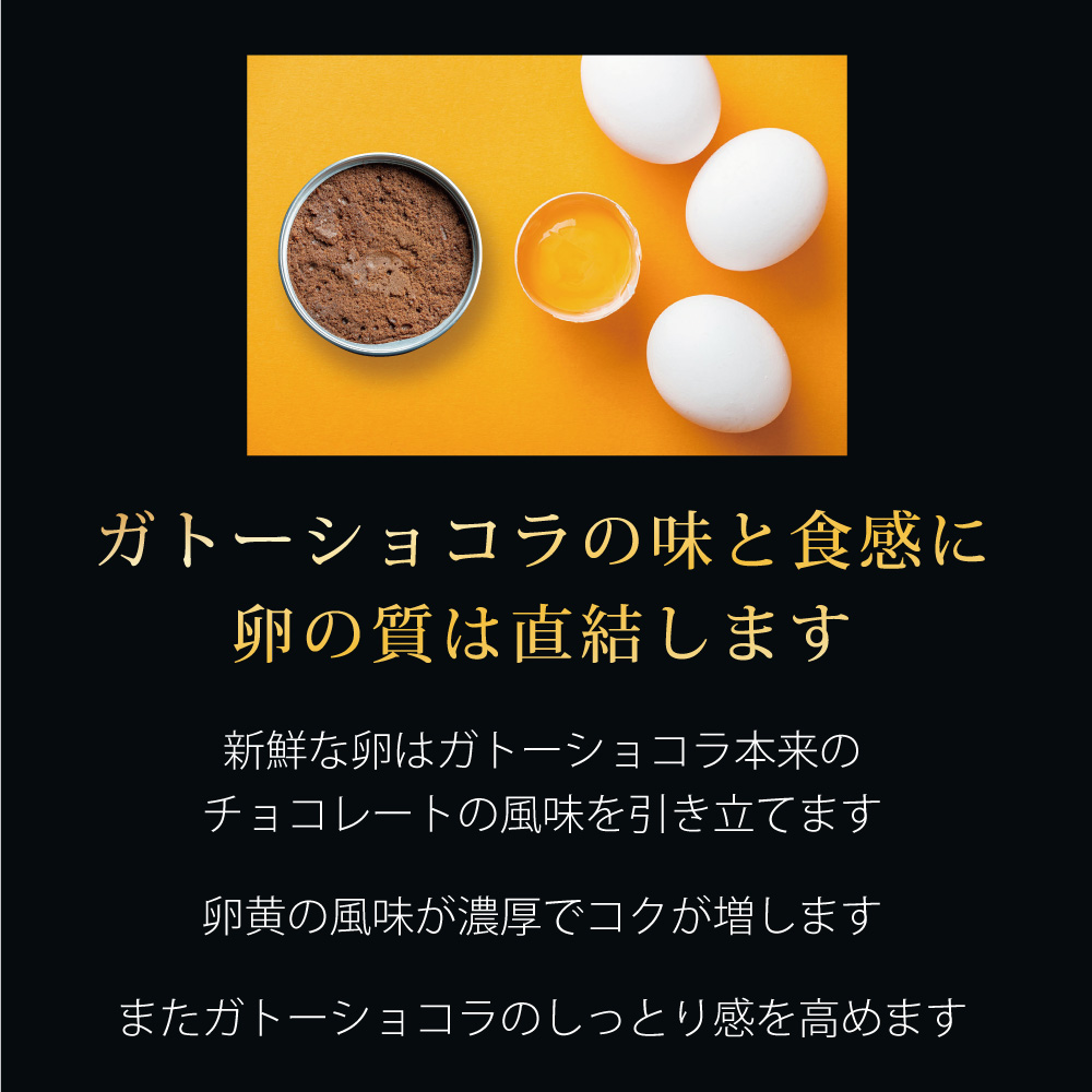 スイーツ 缶詰 ガトーショコラ 6缶 セット ギフト リッチ 贈り物 プレゼント 贈答用 手作り 人気 確実 無難 美味 お祝い 結婚 慶事 安心 安全 無添加 お歳暮 クリスマス バレンタイン 有精卵 厳選 スイス クーベル チュール チョコ チョコレート ケーキ