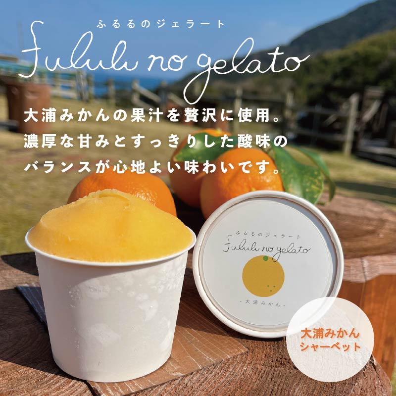 舞鶴ふるるファーム 手作りジェラート 6種セット 抹茶 大浦みかん 小倉ミルク ブルーベリー いちごミルク ミルク | 手作りジェラート 舞鶴ジェラート 地元食材ジェラート 苺ジェラート ブルーベリージェラート 抹茶ジェラート 大浦みかんシャーベット 丹波大納言ジェラート 有精卵ジェラート ギフト