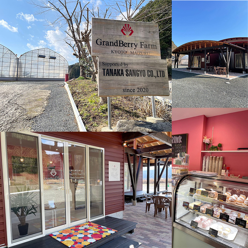 グランベリーファーム いちごジャム 3本 セット 150g×3 舞鶴産いちご 舞鶴産苺 舞鶴ジャム 手作りジャム150g ギフト 京都府舞鶴 舞鶴