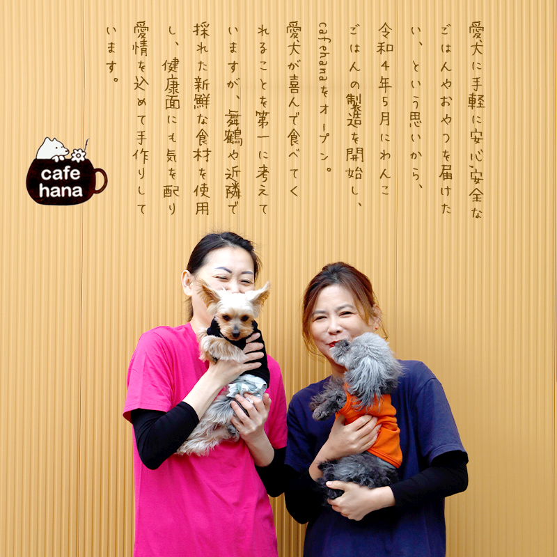 鹿肉ボイル 2袋 ペットフード ペットのおやつ 犬 猫 ドッグフード キャットフード 国産 安心 安全 ペット フード ペット用品 いぬ ねこ 犬用 猫用 ごはん ご飯 餌 エサ わんこ 動物 間食 ご褒美 備蓄 災害備蓄 舞鶴市 京都府