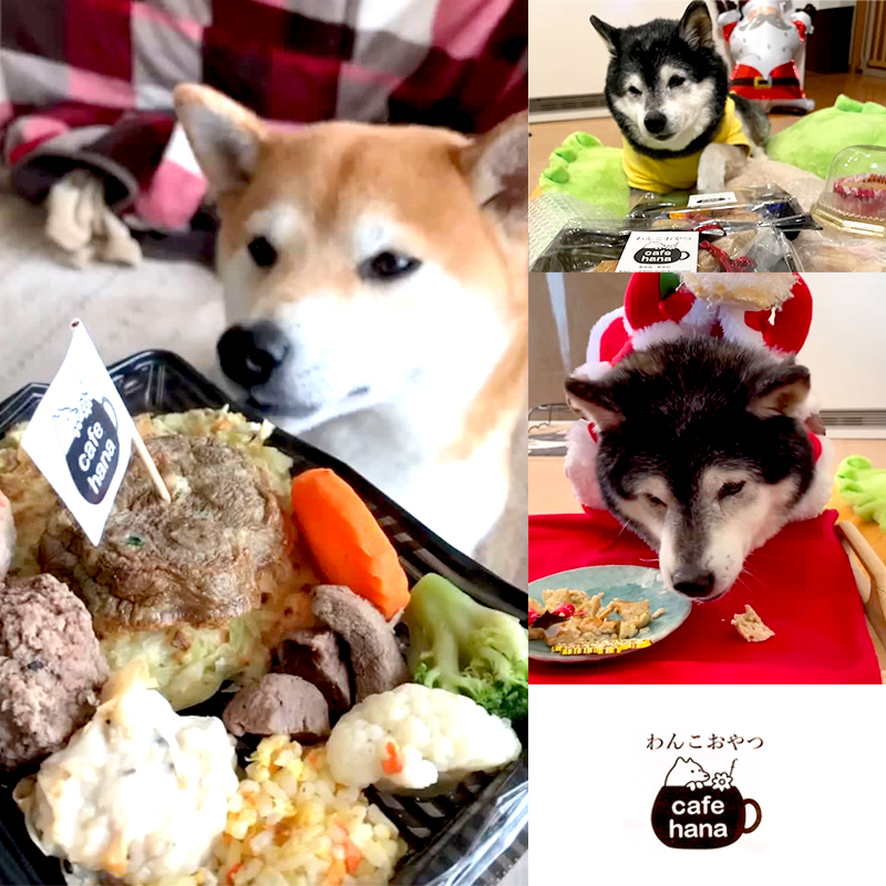愛犬用 お弁当 セット 詰め合わせ L サイズ スープ おやつ 2袋 小型犬 セット 詰め合わせ 無添加 ご飯 ドッグフード ペット エサ 餌 お好み焼き 鶏ハンバーグ チャーハン 牛タン そぼろ 卵焼き 季節 野菜 京都 舞鶴