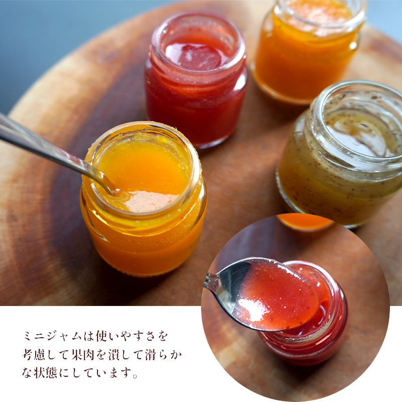 果物 ミニ ジャム セット 詰め合わせ 270g 4種 前後 30g 9瓶 いちご 苺 みかん 蜜柑 きんかん 金柑 キウイ フルーツ ジャム パン トースト 国産 贈り物 ギフト プレゼント お歳暮 お中元 舞鶴