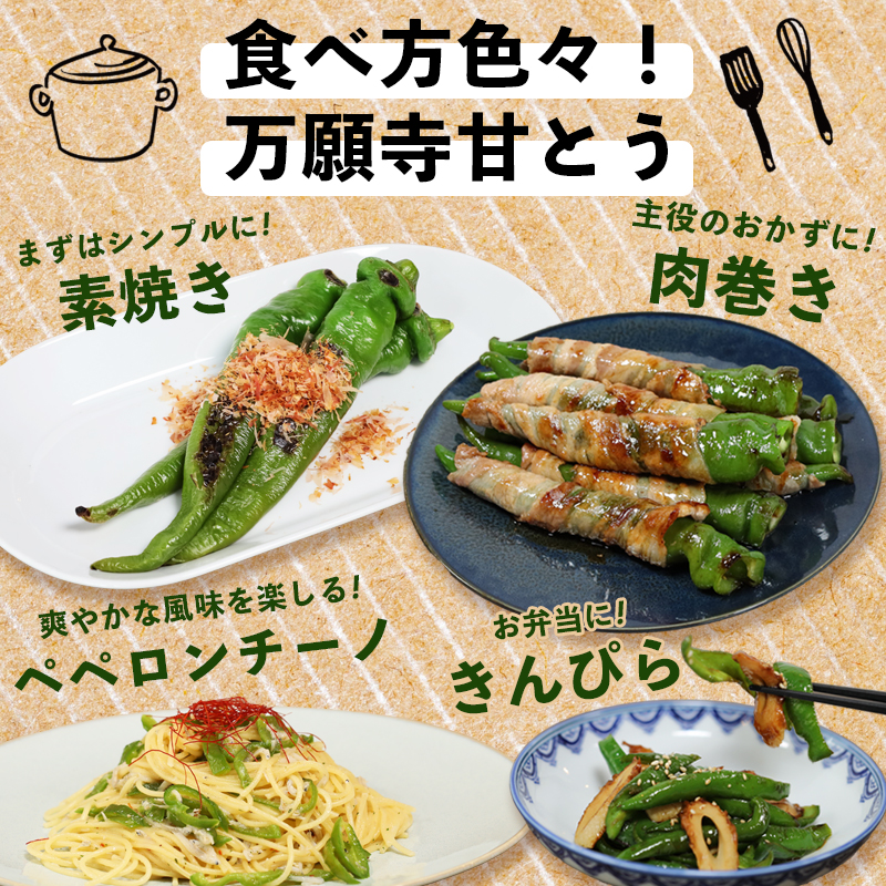 【2025年発送分】 万願寺甘とう 600g 京野菜 万願寺とうがらし 辛くない 舞鶴発祥 地場野菜 野菜 箱入り 農協 JA 京都府 舞鶴市