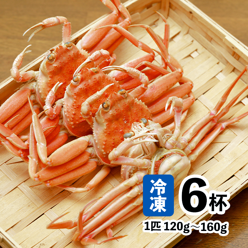【11月中旬～年内発送】 茹で セコガニ 6杯 800g以上 | 舞鶴 こっぺがに セコガニ 雌ガニ 冬限定 カニ 内子 外子 かに味噌 日本海 冷凍 舞鶴港 海鮮 ボイル蟹 カニ通販 ふるさと納税 ギフト 冬の味覚