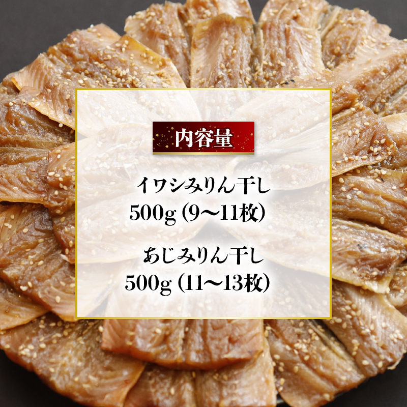 干物 いわし あじ みりん干し セット 鰯 鯵 ひもの 詰め合わせ 500g ずつ 冷凍 合計 1kg 1キロ 10000円 魚類 一万円 京都府 舞鶴