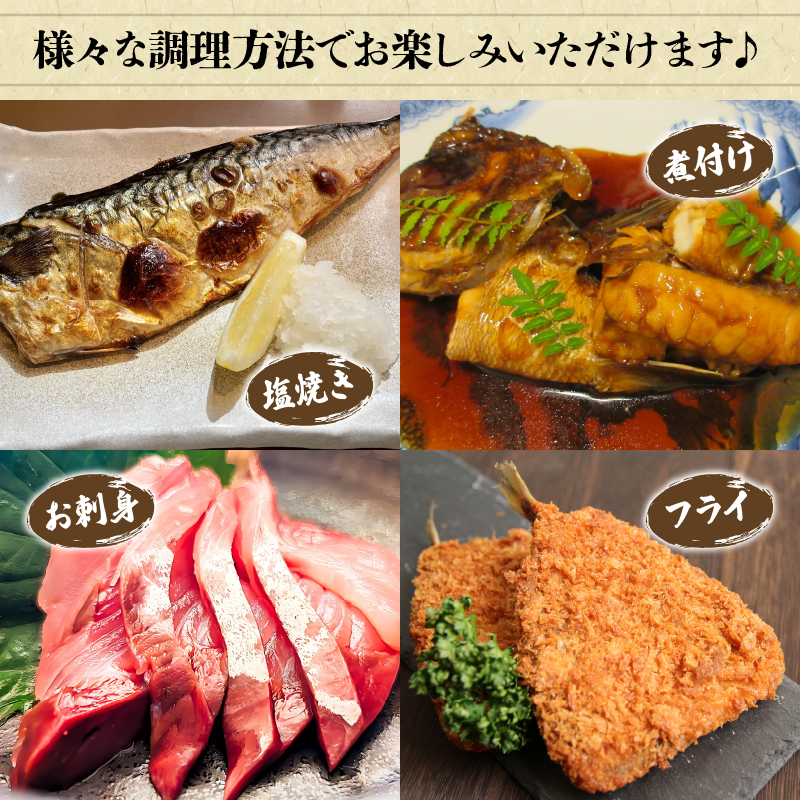 訳あり 鮮魚 詰め合わせ セット 3～4種 約2kg 2キロ 旬 厳選 朝 獲れ 鮮度 抜群 冷蔵 送料無料 あじ サバ ススキ つばす 鯵 鯖 鰯 サゴシ グレ 鯛 カマス 赤カレイ いわし レンコダイ トビウオ