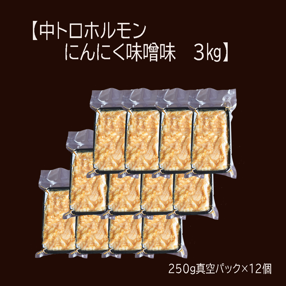 【 訳あり 】 中トロ ホルモン 3kg(250g×12) にんにく 味噌味 トロ 焼肉 牛 西京焼き 味噌 味付 小分け 冷凍 牛 肉 熨斗 贈答 ギフト 希少部位 肉 お歳暮 御歳暮 御中元 お中元 便利 簡単調理 厳選 キャンプ アウトドア 内祝 ほるもん おかず 味付けホルモン 肉 西京焼き 京都 舞鶴 幸福亭