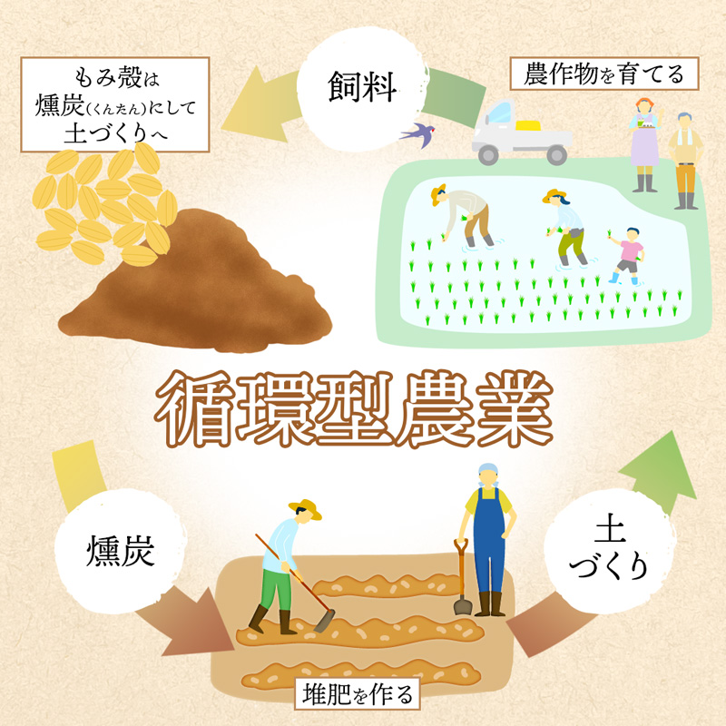 【定期便】コシヒカリ 5kg×6回 30kg ６ヶ月 精米 京都産 農家直送 お米 白米 こめ ごはん 毎月届く定期便
