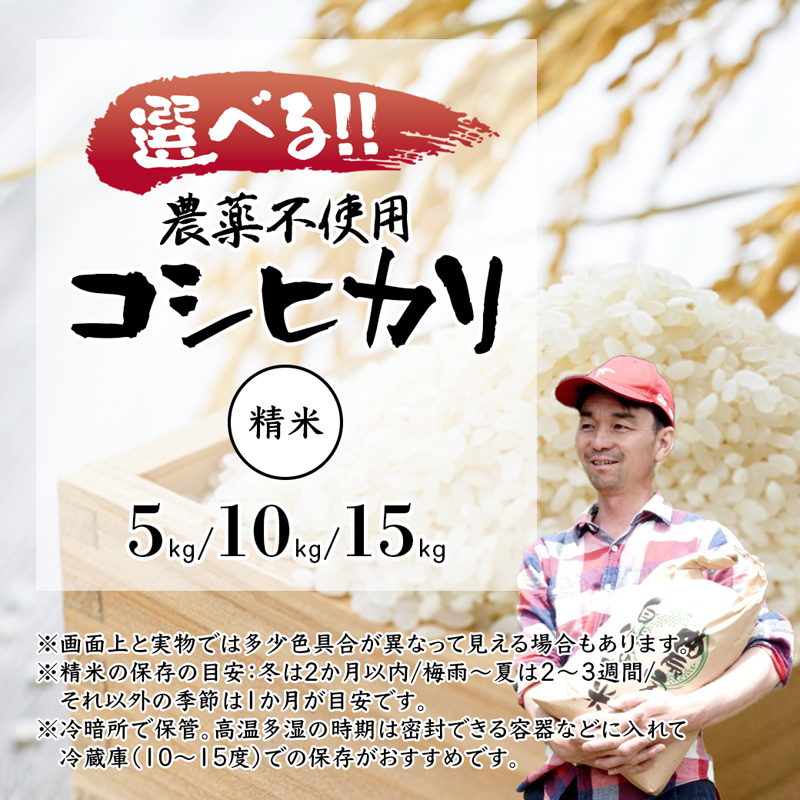 【令和7年度産 新米 先行予約】 棚田米 白米 15kg 栽培期間中農薬不使用 コシヒカリ こしひかり 精米 米 お米 おにぎり お弁当 京都 舞鶴 農家直送