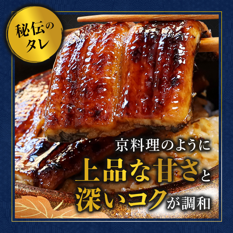 浜名湖産 うなぎ蒲焼き 特製タレ付き 2尾 | うなぎ 蒲焼き 国産 浜名湖産 ギフト プレゼント 贈答用 冷凍 土用の丑の日 うな丼 特製タレ 職人手焼き 関東風 うなぎの蒲焼 鰻京都 舞鶴