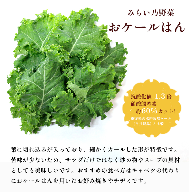 みらい乃野菜 はんなりレタス 10袋 + おケールハン 2袋 12袋 720g 野菜 袋入 水耕栽培 野菜 れたす レタス ケール けーる 葉物 サラダ 高抗酸化値 低硝酸態窒素 小分け 小袋 そのまま 食べれる 健康 身体にやさしい お試し 贈答 熨斗 野菜