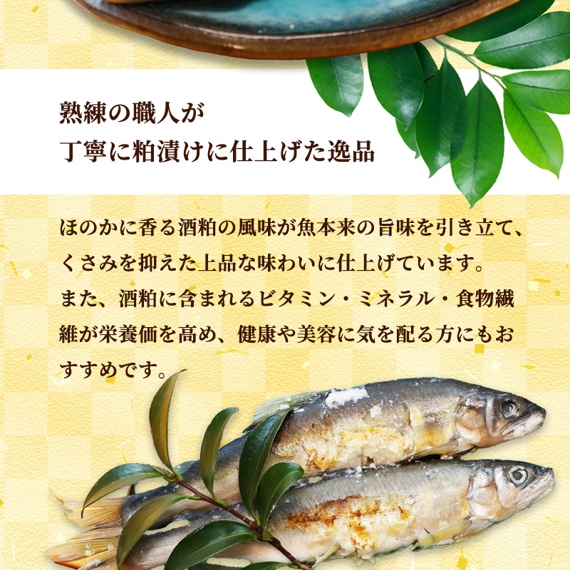 天然鮎の粕漬け 6匹 【 由良川漁協 あゆ 鮎 アユ 魚 魚介 川魚 海鮮 漬け魚 粕漬け 酒粕 天然 大人 贅沢 おつまみ 酒の肴 珍味 舞鶴 京都 】
