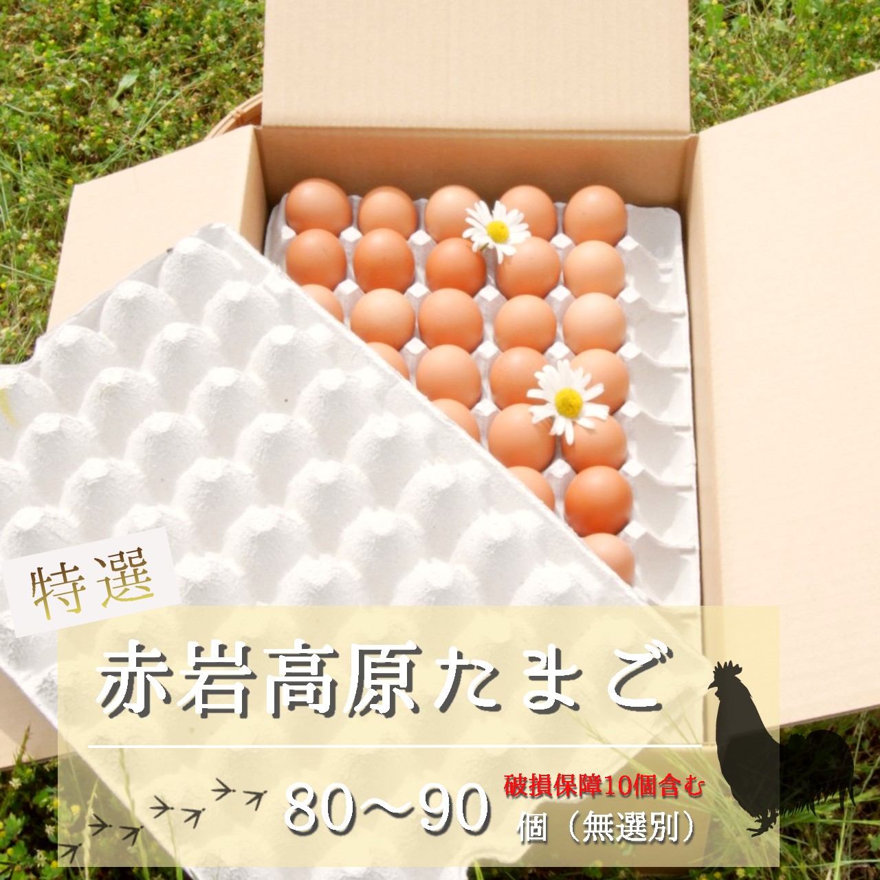 赤岩高原たまご 80～90個入（特選/無選別Ｍ～Ｌ） 4.8kg以上 卵 大人数用 たまご 大入り