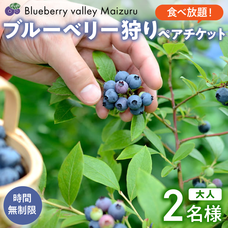 【6月～8月】 ブルーベリー狩り ペアチケット 【時間無制限・食べ放題】 | ブルーベリー 果物 フルーツ狩り 中学生以上 摘み取り 体験 チケット ペア 時間 無制限 食べ 放題 関西 京都 舞鶴