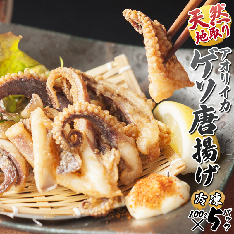 【10月以降発送】 天然地取りアオリイカ ゲソ唐揚げ 100g×5P ： イカ アオリイカ ゲソ いか 天然イカ 天然 海鮮 海産 魚介 シーフード 冷凍 簡単 グルメ お取り寄せ 京都 舞鶴 凡愚|