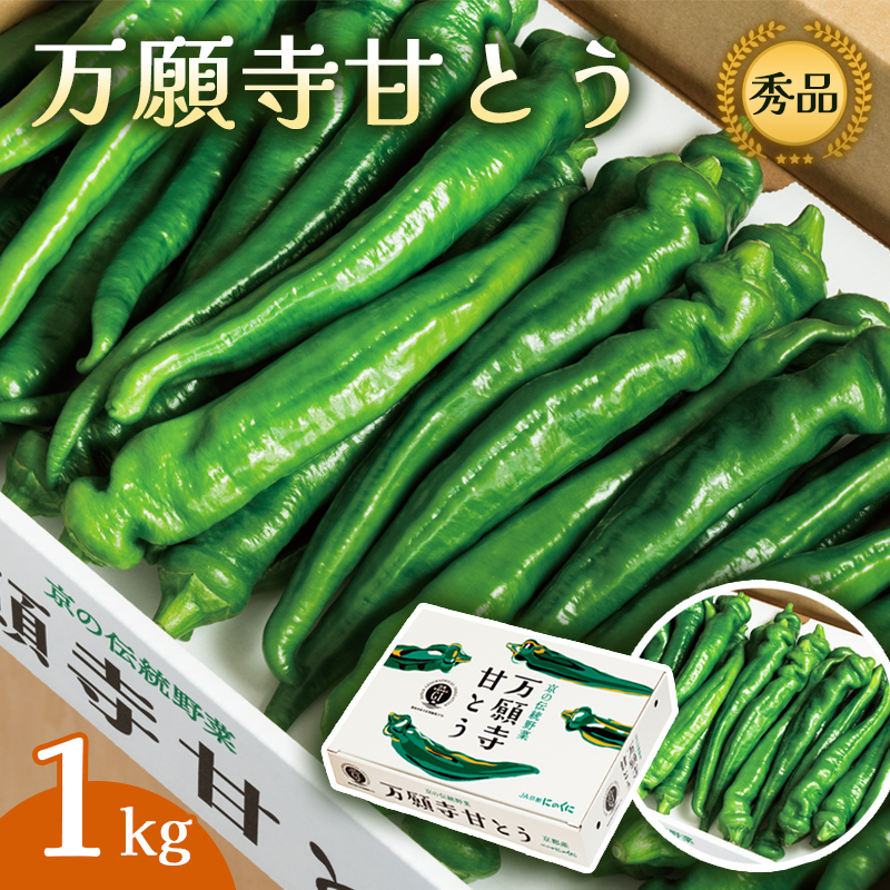 【2025年発送分】 万願寺甘とう 1kg 京野菜 万願寺とうがらし 辛くない 舞鶴発祥 地場野菜 野菜 箱入り 農協 JA 京都府 舞鶴市