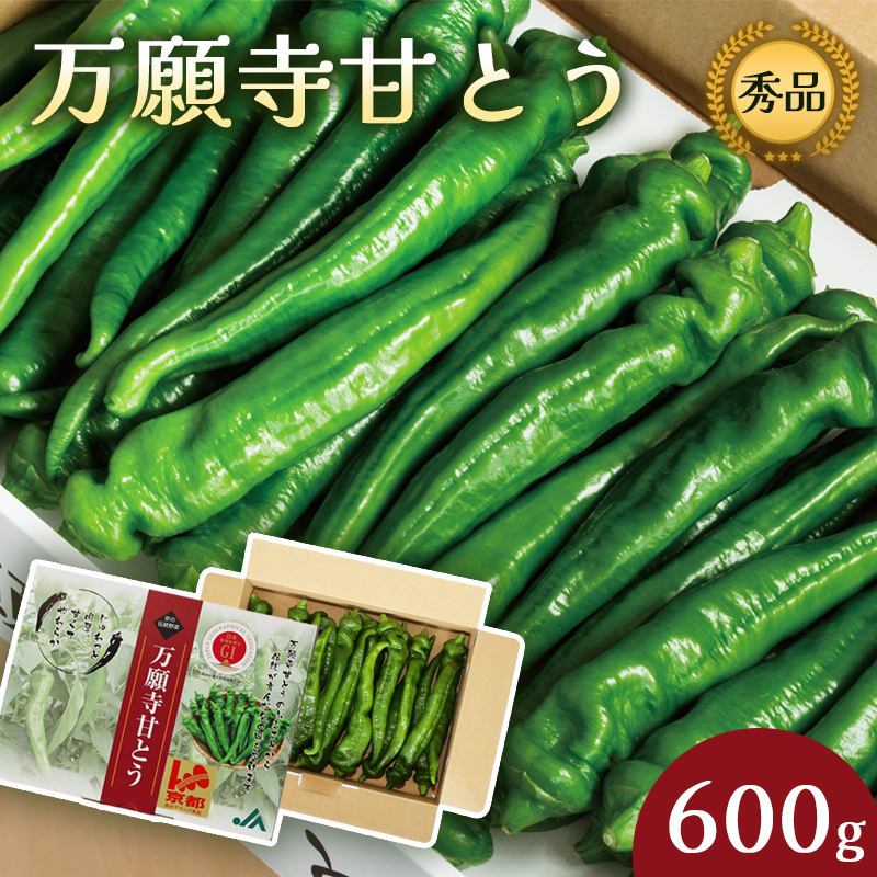 【2025年発送分】 万願寺甘とう 600g 京野菜 万願寺とうがらし 辛くない 舞鶴発祥 地場野菜 野菜 箱入り 農協 JA 京都府 舞鶴市