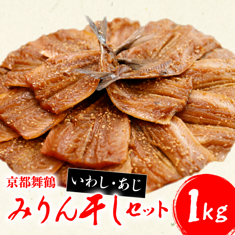 干物 いわし あじ みりん干し セット 鰯 鯵 ひもの 詰め合わせ 500g ずつ 冷凍 合計 1kg 1キロ 10000円 魚類 一万円 京都府 舞鶴
