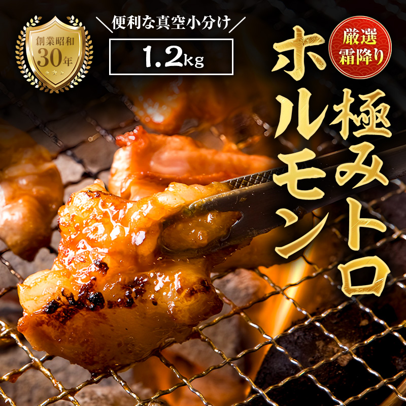 霜降り 極みトロホルモン 1.2kg 秘伝のタレ付き | 国産 極トロホルモン 霜降り ホルモン 冷凍 真空パック 家庭用 ホルモンうどん　八島丹山 京都 舞鶴