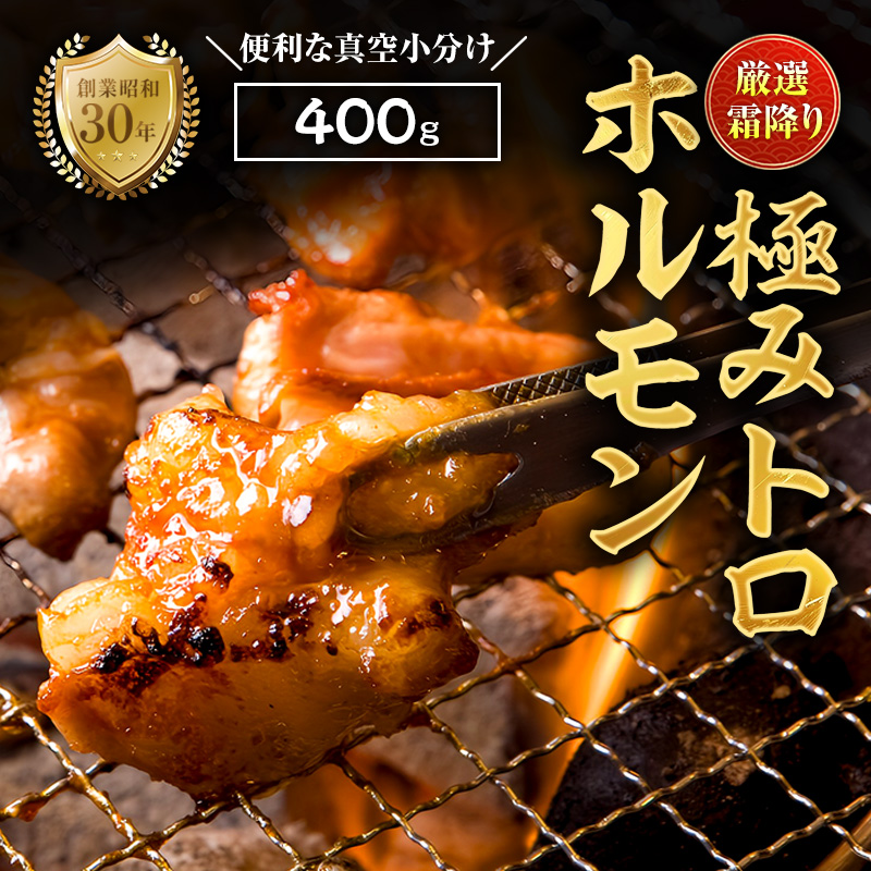 霜降り 極みトロホルモン 400g 秘伝のタレ付き | 国産 極トロホルモン 霜降り ホルモン 冷凍 真空パック 家庭用 ホルモンうどん　八島丹山 京都 舞鶴